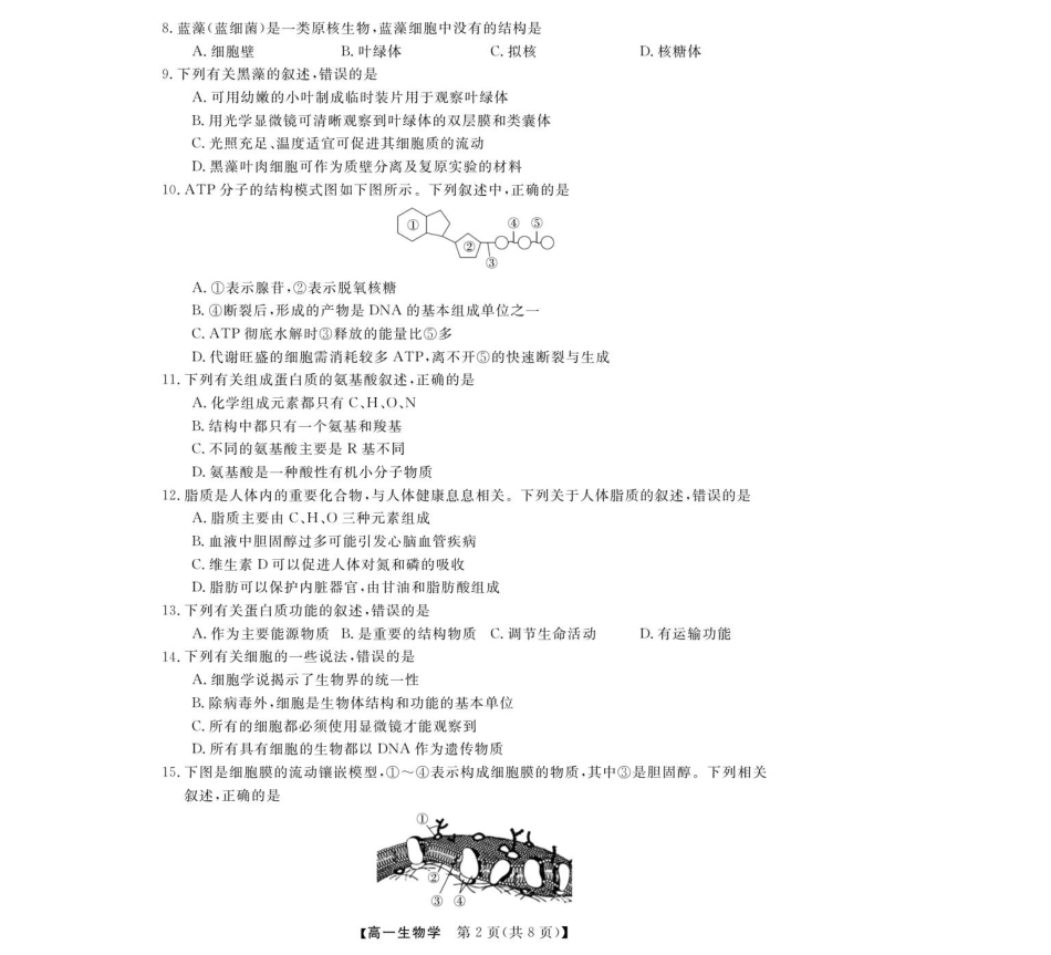 生物试卷【高一】浙江省强基联盟2025年高一年级11月联考暨期中考试(11.18-11.20).pdf_第2页