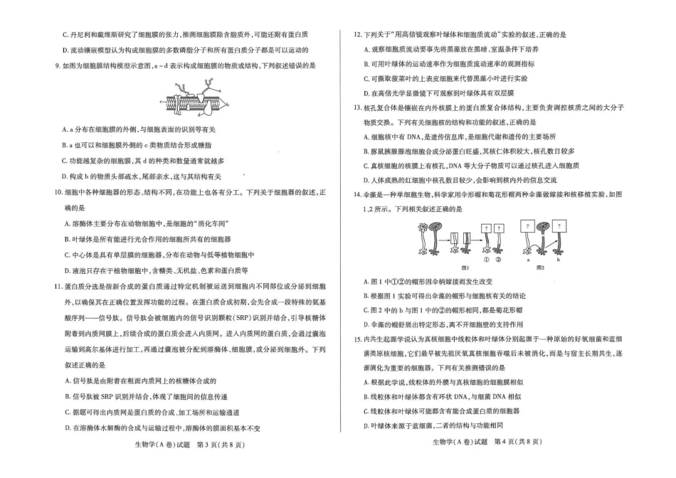生物试卷+答案【高一】河南省天一大联考2025-2026学年(上)高一年级期中检测(11.24-11.25).pdf_第2页