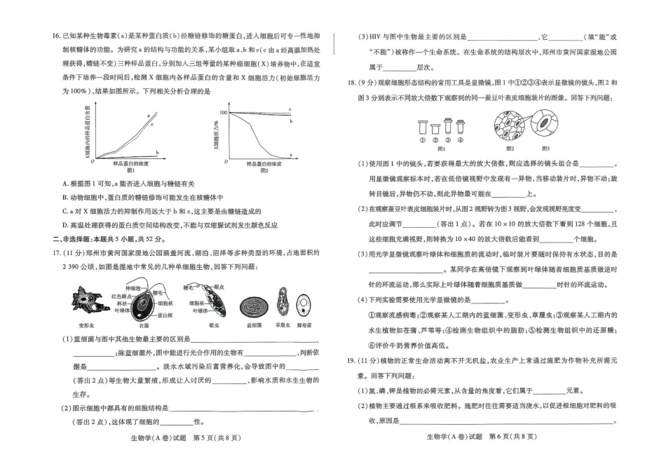 生物试卷+答案【高一】河南省天一大联考2025-2026学年(上)高一年级期中检测(11.24-11.25).pdf_第3页