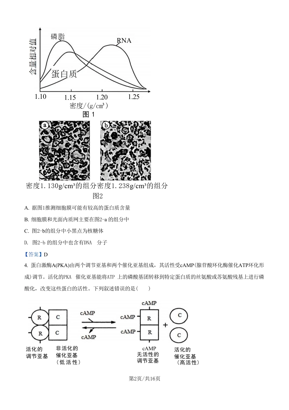 生物试卷+答案江苏省南京市中华中学2025-2026学年第一学期高三上学期期中考试(11.13-11.14).pdf_第2页