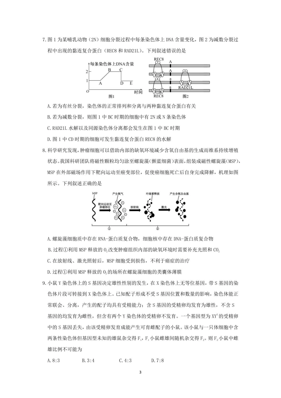 生物试卷山东省山东师大附中2025年11月高三期中检测(11.12-11.14).pdf_第3页