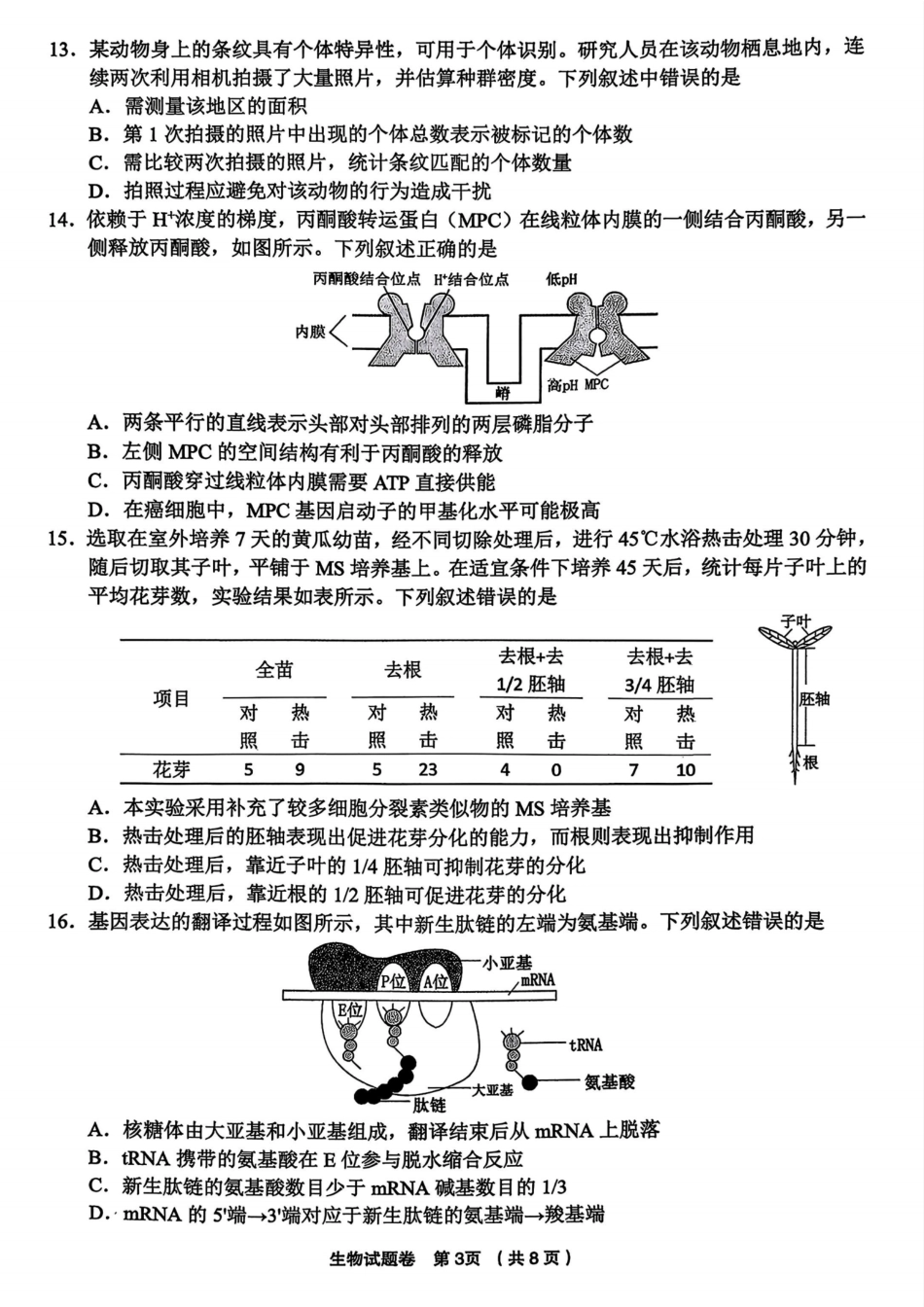 生物试题卷浙江省金丽衢十二校2025学年高三第一次联考(金丽衢一模)(12.2-12.3)(1).pdf_第3页