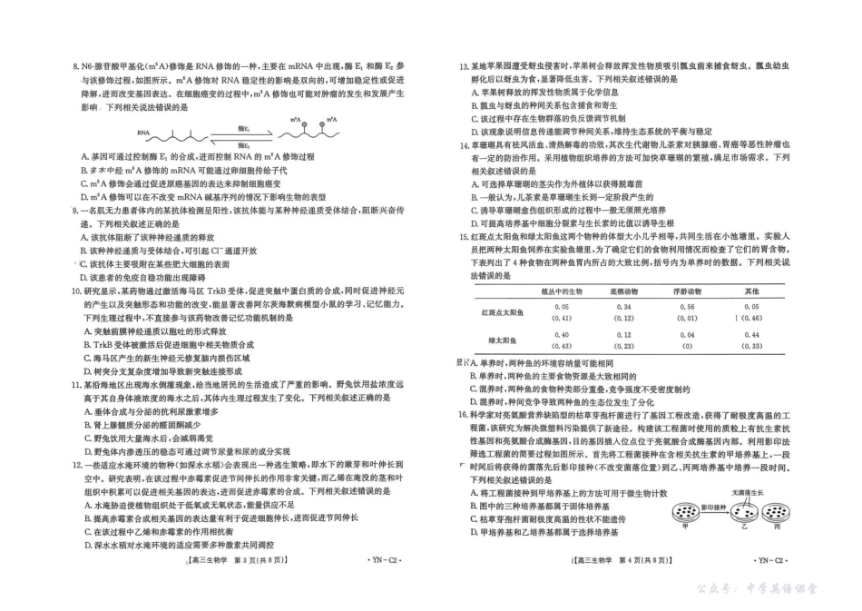 云南省2026届高三上学期11月联考(YN)生物.pdf_第2页