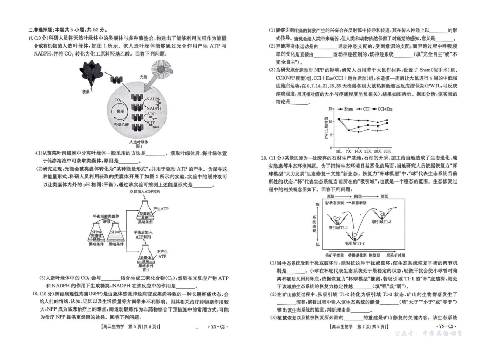 云南省2026届高三上学期11月联考(YN)生物.pdf_第3页