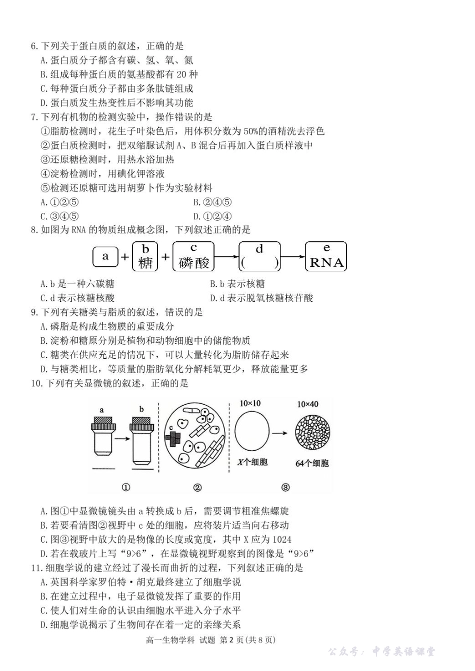 浙江省钱塘联盟2025-2026学年高一上学期11月期中生物试题.pdf_第2页