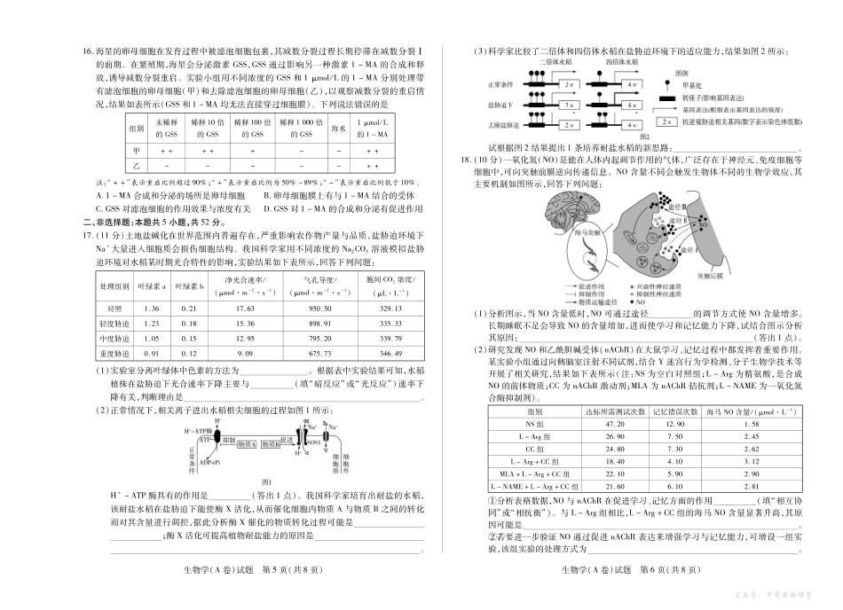 河南省、陕西省、甘肃省2025一2026学年（上）高三年级顶尖计划（二）生物(A卷).pdf_第3页
