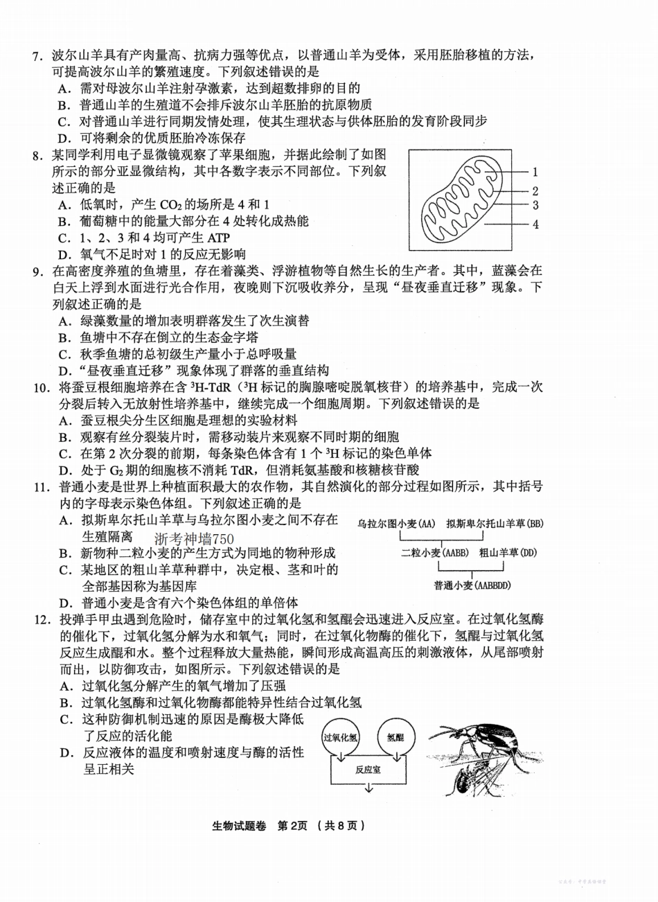金丽衢十二校2025学年高三第一次联考生物.pdf_第2页