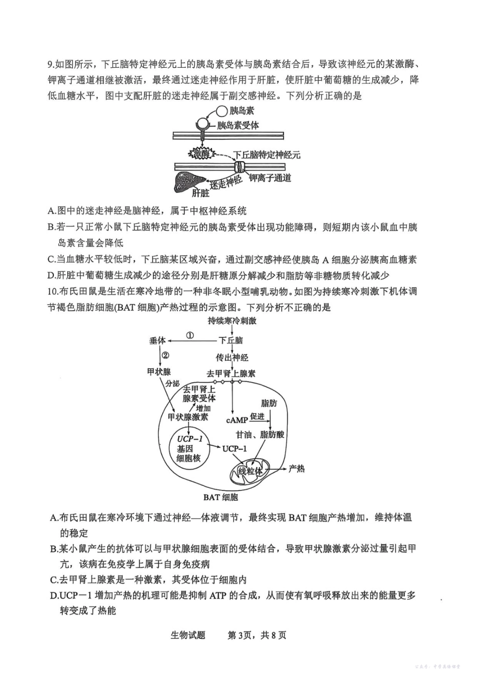 泸县普通高中共同体2025年秋期高二期中联合考试生物学试题.pdf_第3页