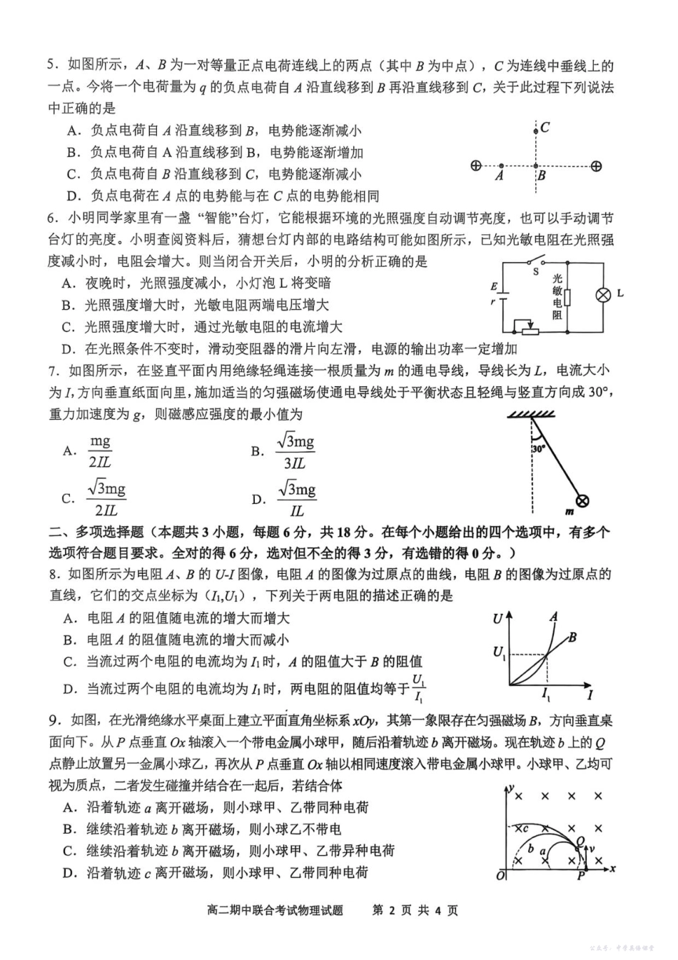 泸县普通高中共同体2025年秋期高二期中联合考试物理试题.pdf_第2页