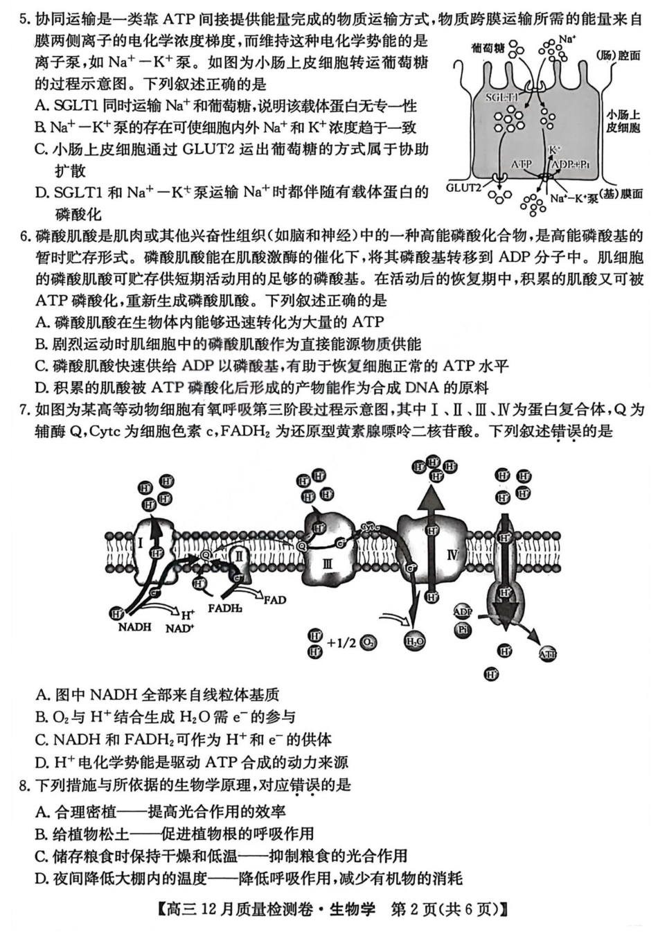 山西三晋卓越联盟2025-2026学年高三12月质量检测生物+答案.pdf_第2页