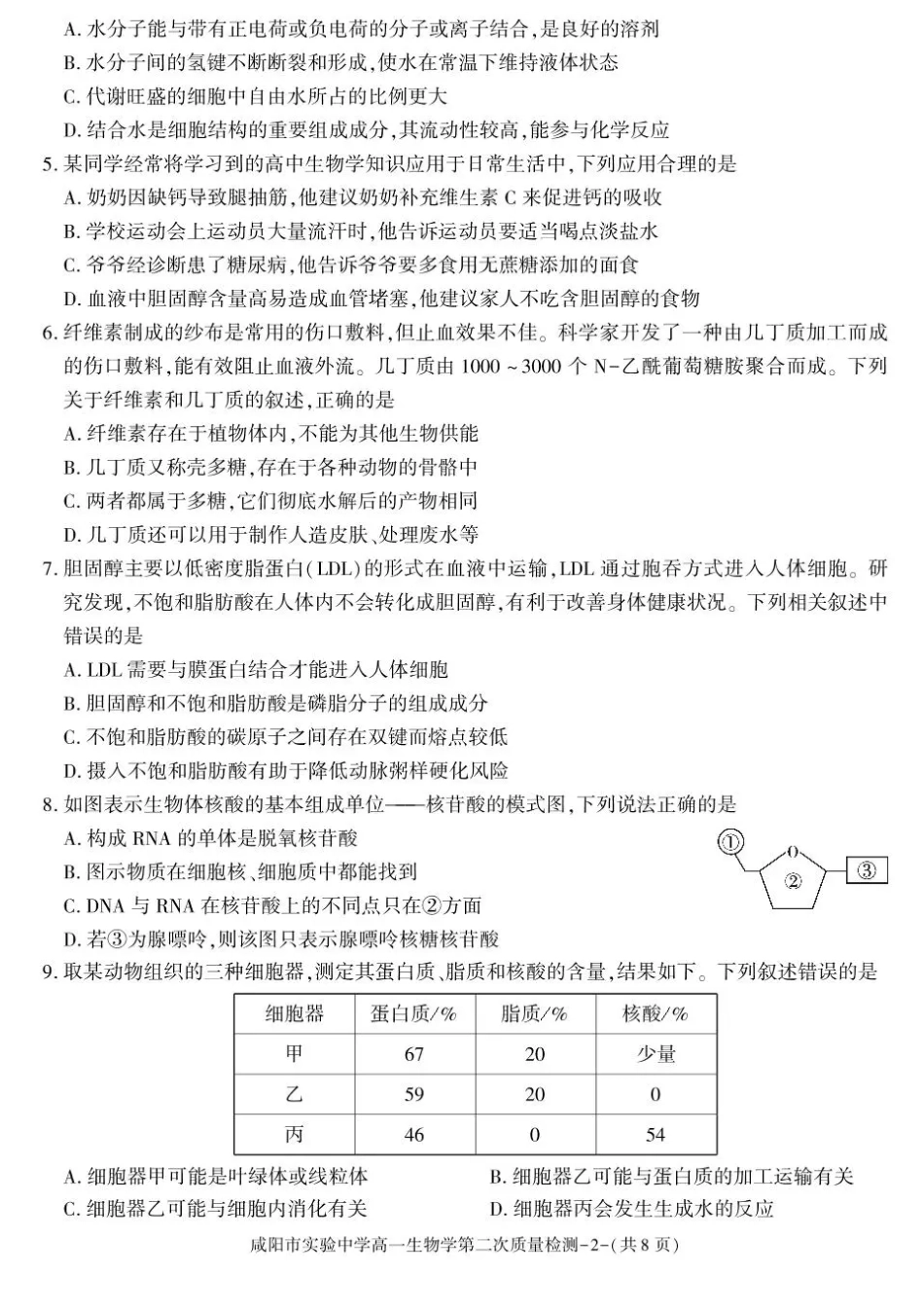 陕西省咸阳市实验中学2025-2026学年高一上学期第二次质量检测生物试卷含答案.pdf_第2页