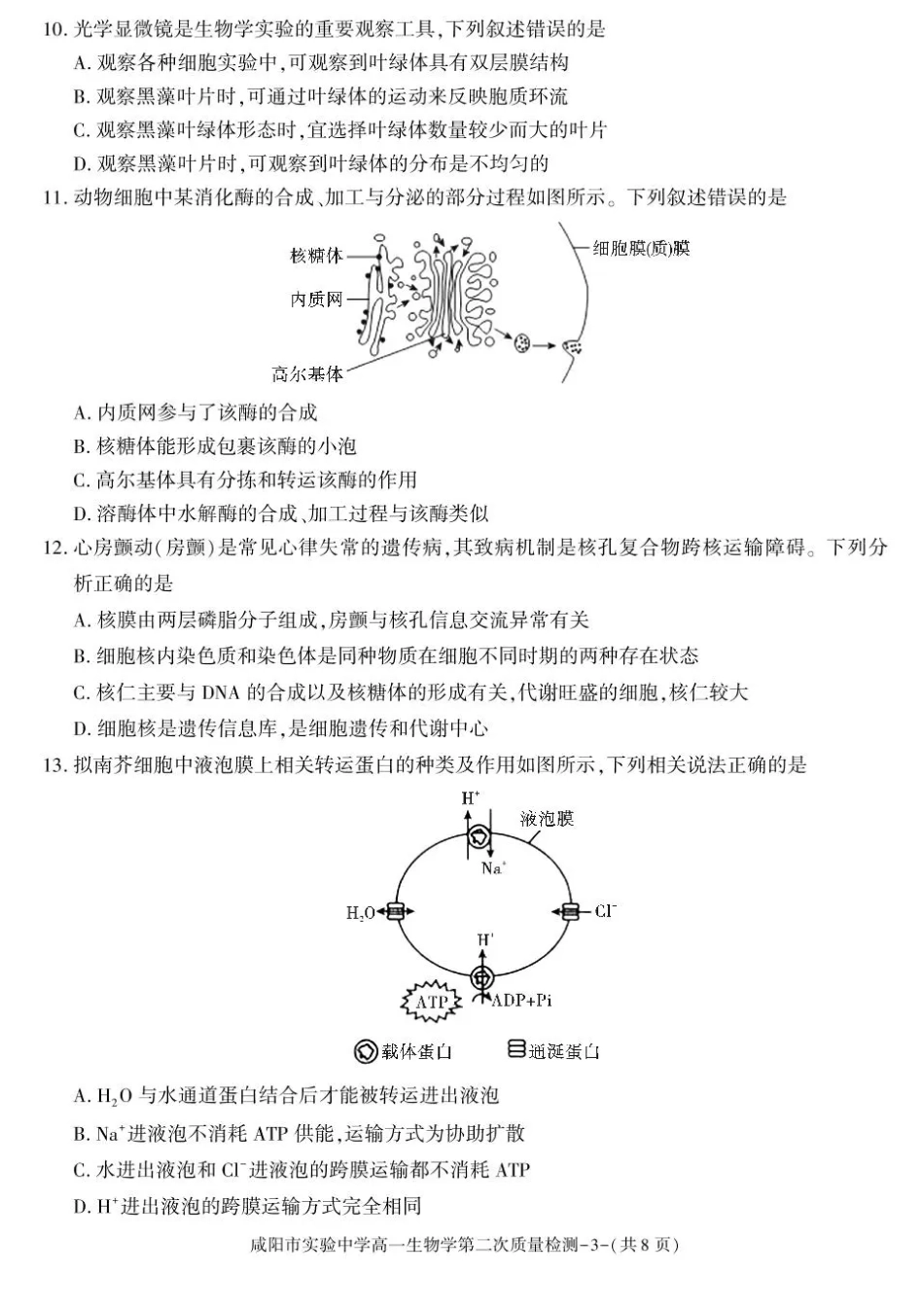 陕西省咸阳市实验中学2025-2026学年高一上学期第二次质量检测生物试卷含答案.pdf_第3页