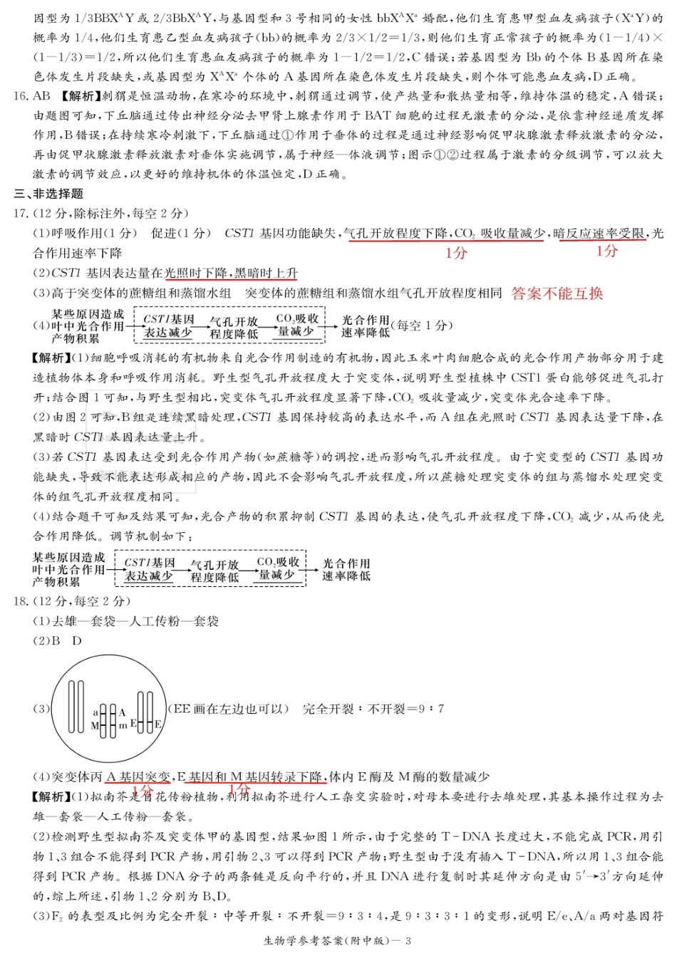 生物试卷答案【Top15强校】湖南省炎德英才大联考湖南师大附中2026届高三月考试卷(四)(11.27-11.28).pdf_第3页