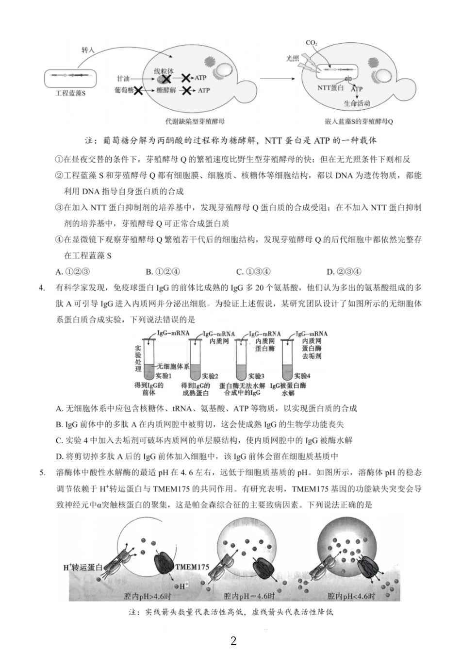 生物试卷重庆市第一中学2026届高三11月高考适应性月考卷（三）(111月中旬).pdf_第2页