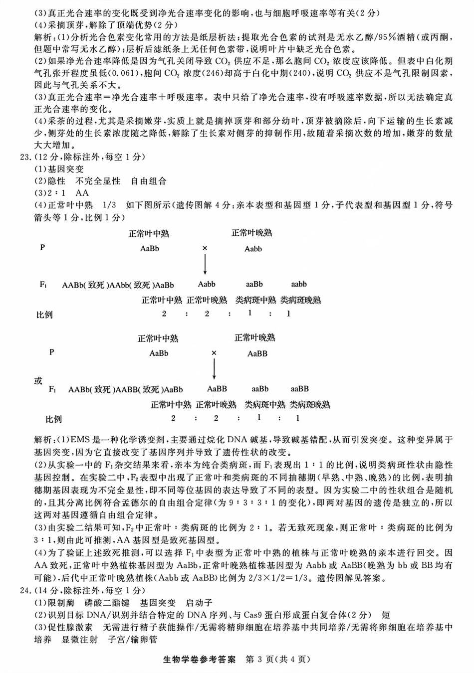 生物试题卷答案浙江省强基联盟2025年12月高三联考(强基一模)((12.3-12.4).pdf_第3页