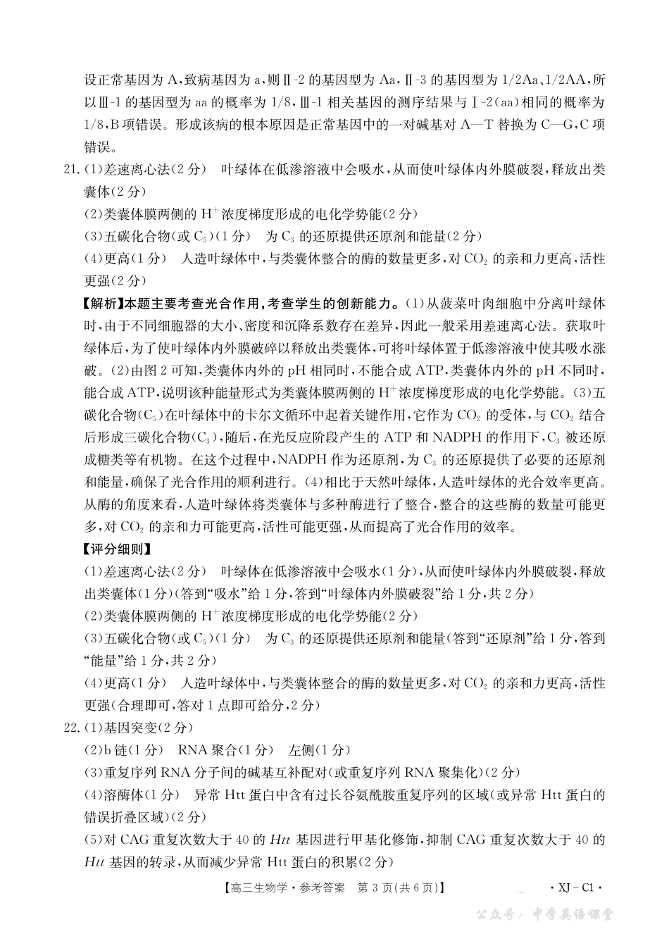 新疆多校2026届高三上学期11月联考(XJ)生物答案.pdf_第3页
