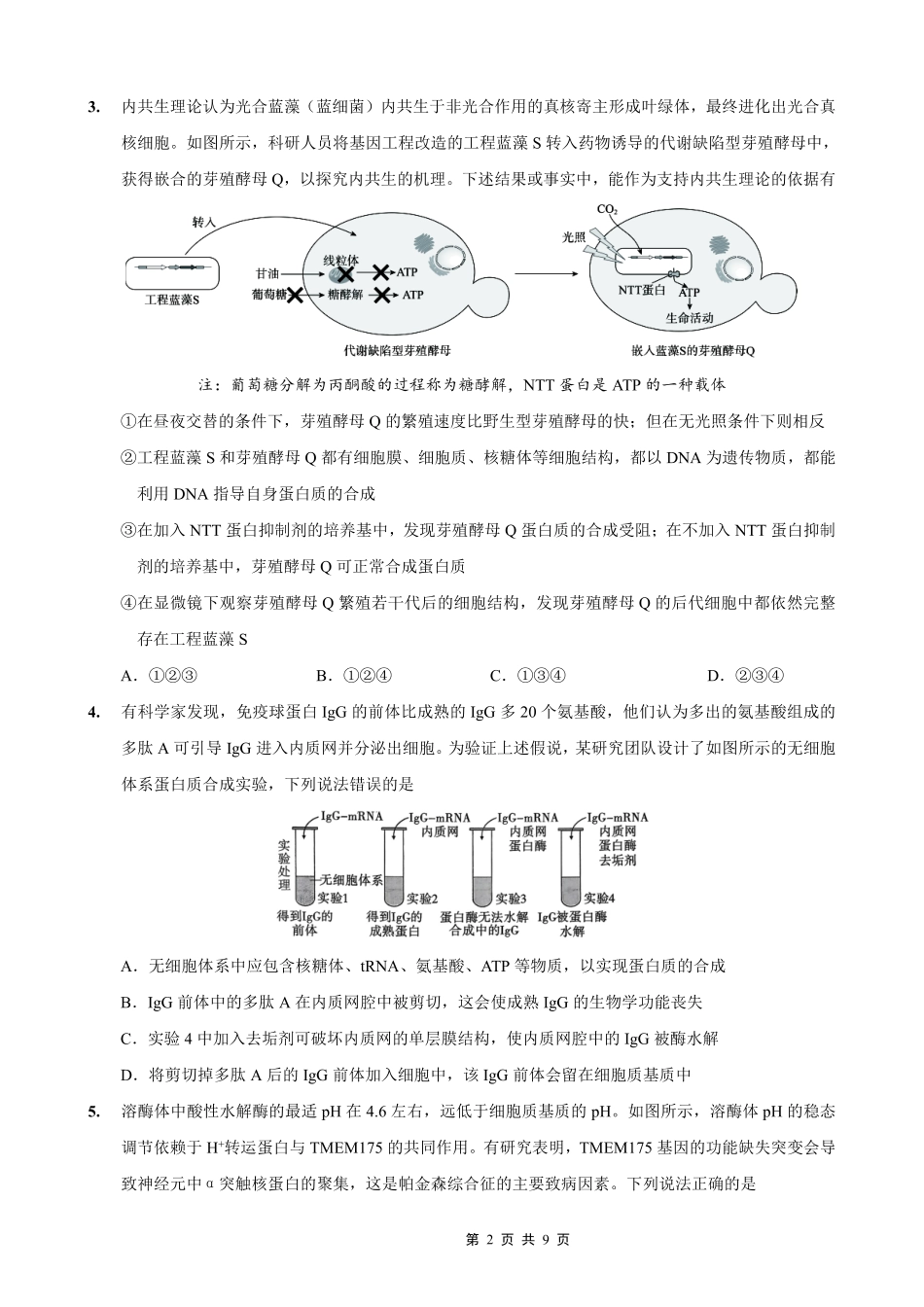 重庆市第一中学校2025-2026学年高三上学期11月月考生物.pdf_第2页
