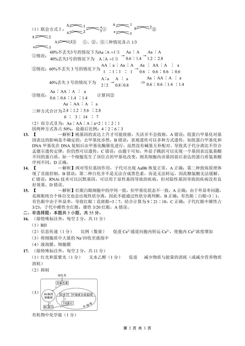 重庆市第一中学校2025-2026学年高三上学期11月月考生物答案.pdf_第2页
