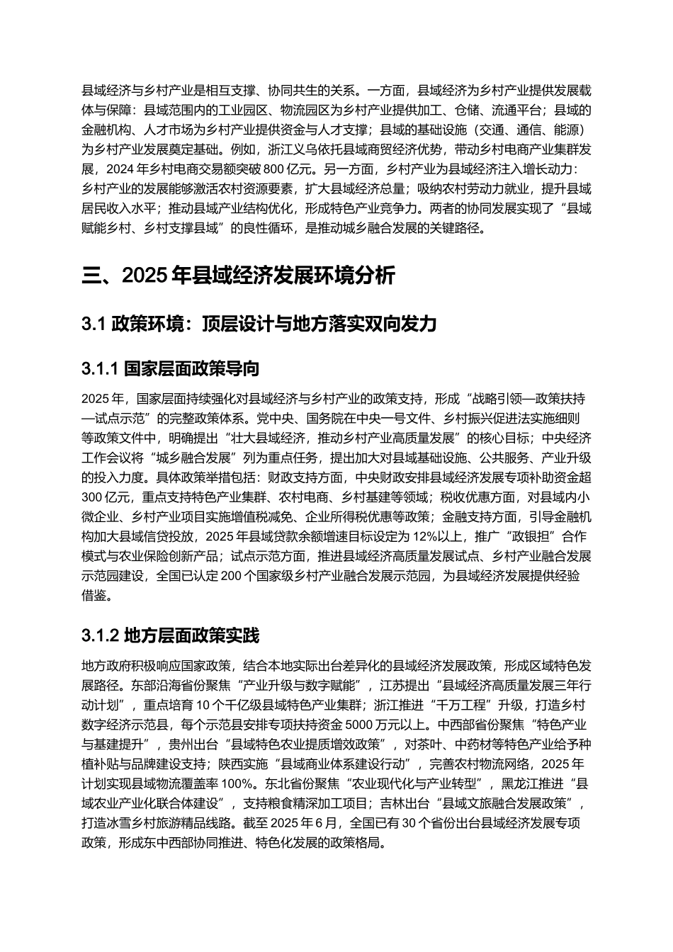 2025 县域经济投资机遇报告（含乡村产业）.docx_第3页
