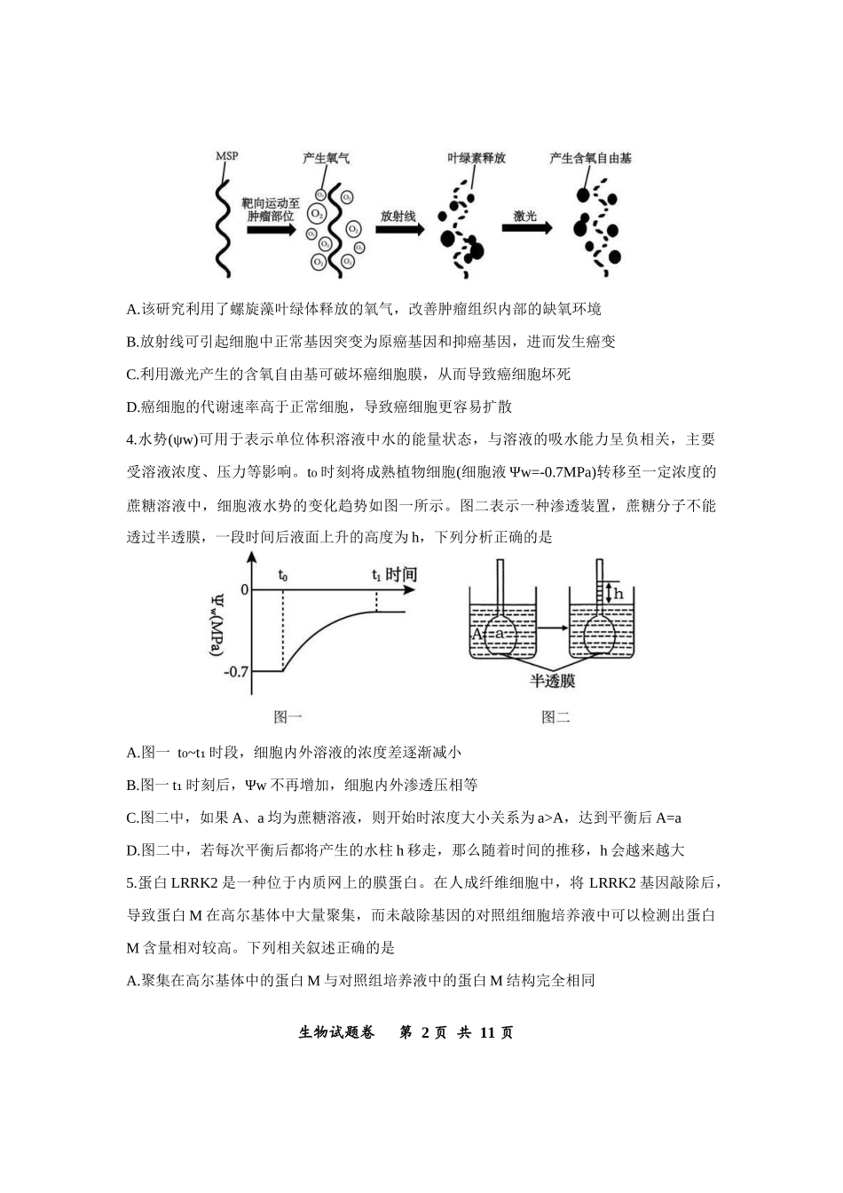 鲁能巴蜀中学、万州中学2026届高三上学期十二月联合诊断考试生物.docx_第2页