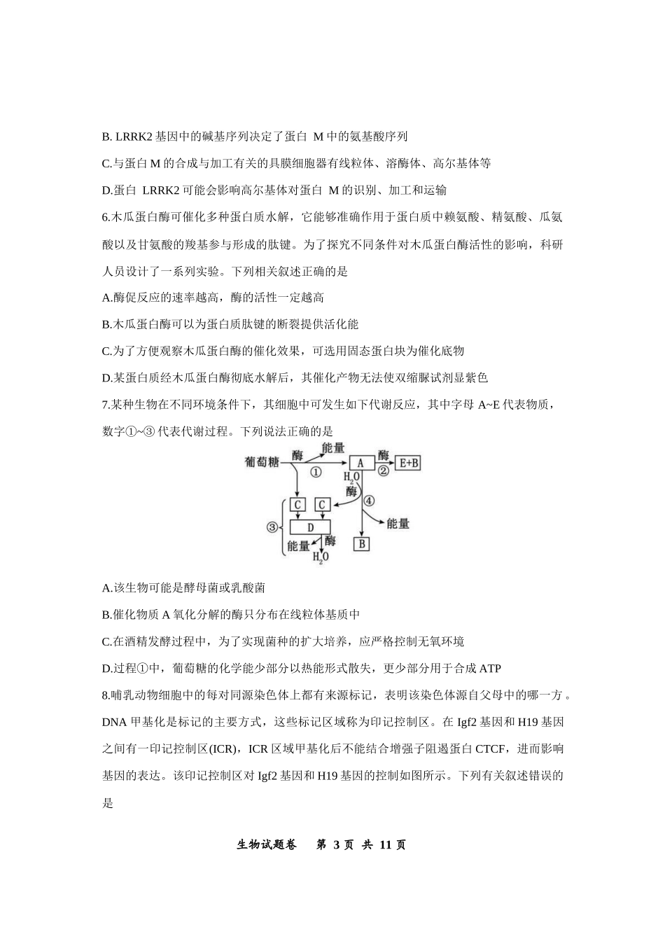 鲁能巴蜀中学、万州中学2026届高三上学期十二月联合诊断考试生物.docx_第3页