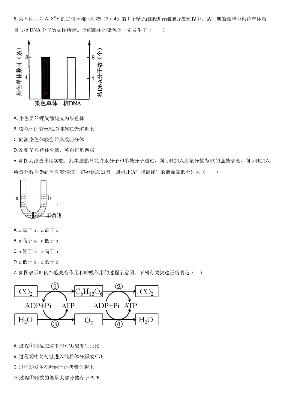 生物试卷+答案吉林省通化市梅河口市第五中学2025-2026学年高三年级上学期12月月考（12.12-12.13）.docx_第2页
