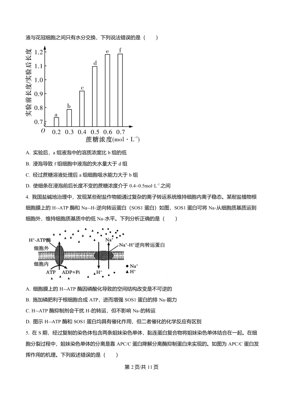 四川省字节精准教育联盟2026届高中毕业班第一次诊断性检测生物.docx_第2页