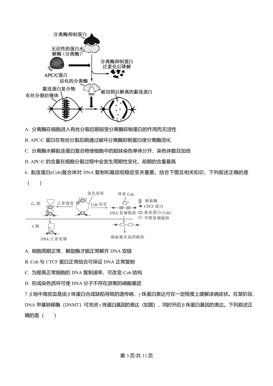 四川省字节精准教育联盟2026届高中毕业班第一次诊断性检测生物.docx_第3页