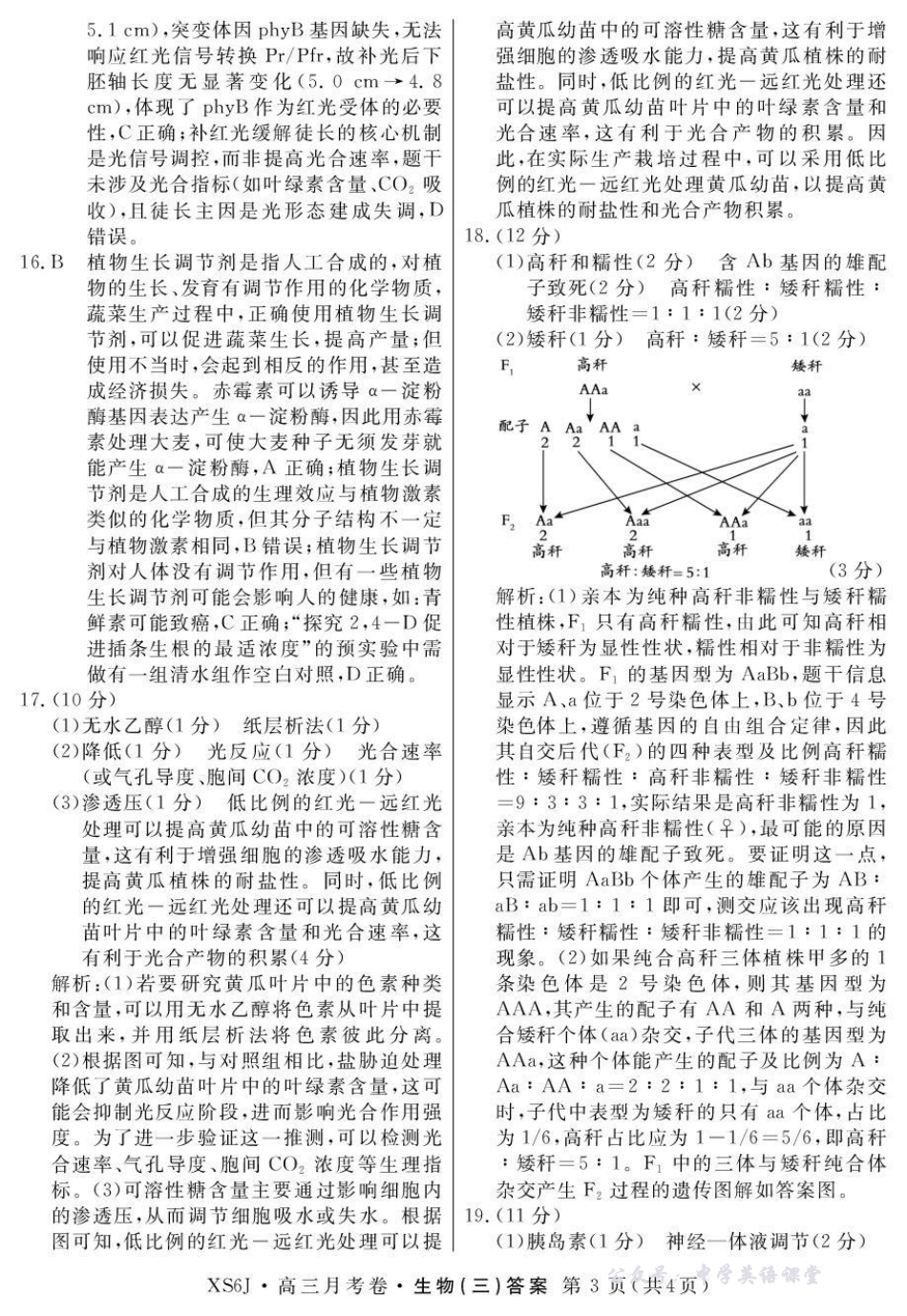 2026届高三总复习月考卷（三）生物答案.pdf_第3页