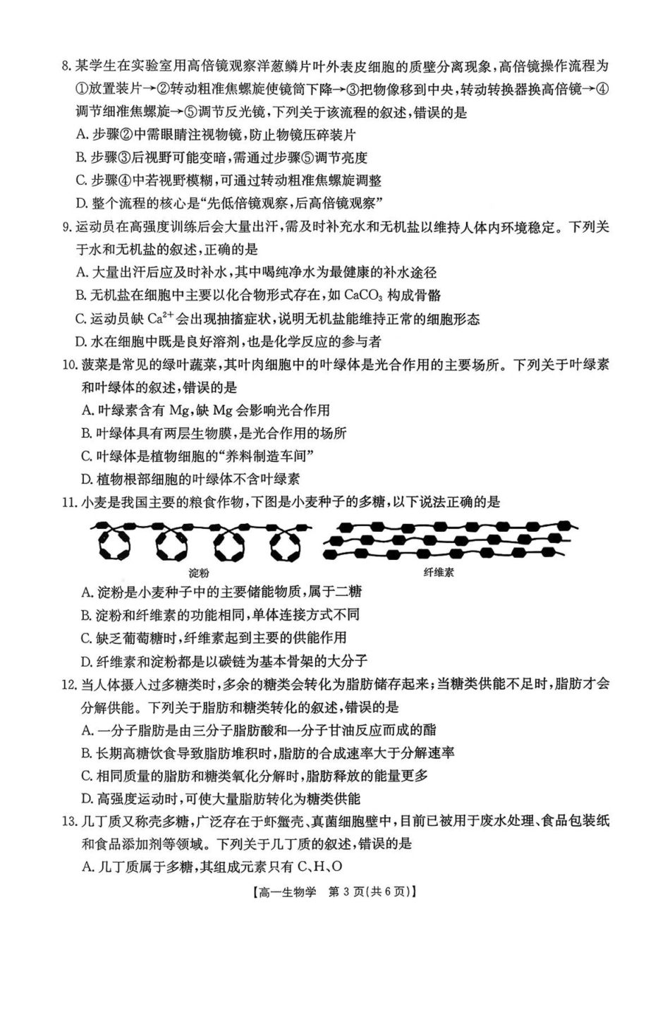 广东省揭阳市部分学校2025-2026学年高一上学期11月期中联考试题生物含答案.pdf_第3页