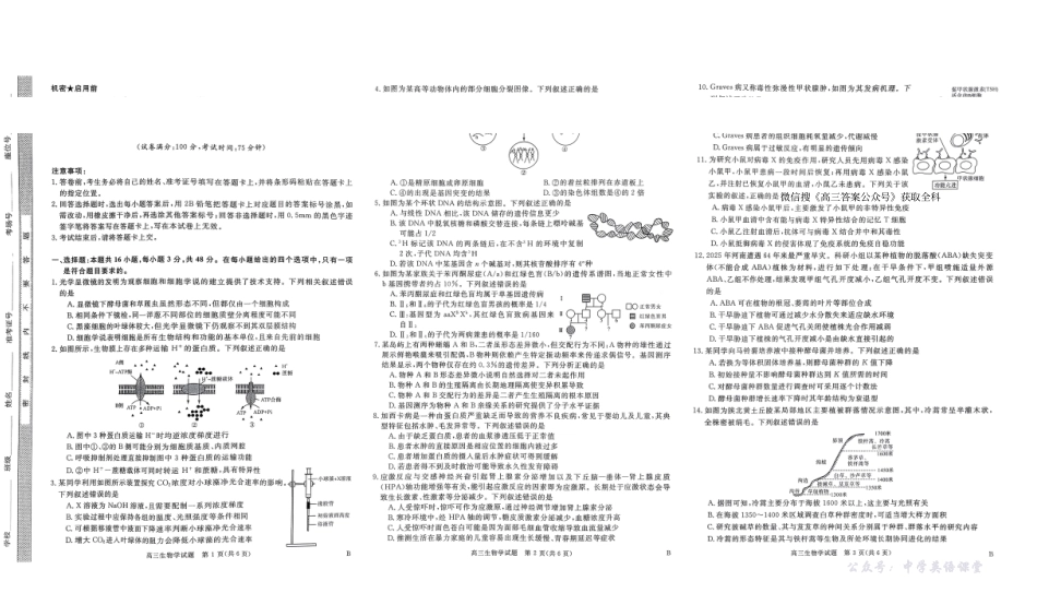 河南省新未来2025～2026学年高三年级12月质量检测生物.pdf_第1页