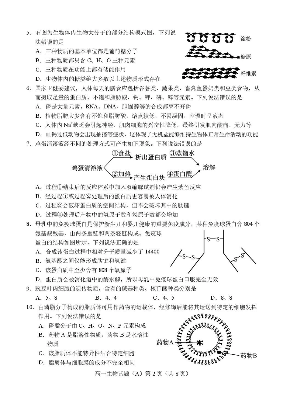 山东省菏泽市2025-2026学年高一上学期期中联考试题生物（A）含答案.pdf_第2页