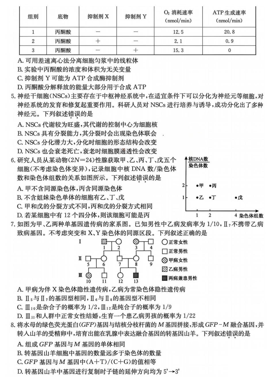 山西卓越联盟2025~2026学年高三12月质量检测卷（205C）生物.pdf_第2页