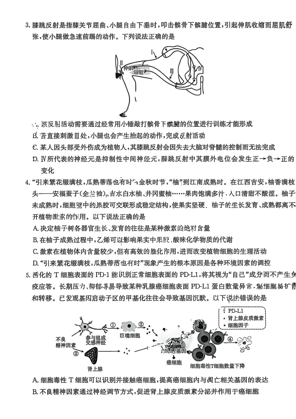 生物试卷(金太阳26-135B)江西省三新协同教研共同体2025年高二年级上学期12月联考(金太阳26-135B)(12.17-12.18).pdf_第2页