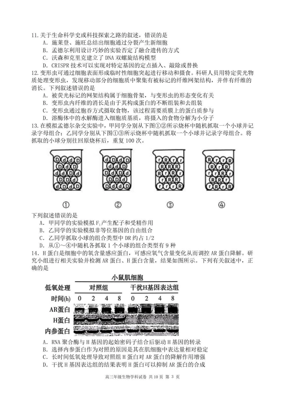 生物试卷(终成稿)黑龙江省龙东十校联盟2026届高三学年度上学期12月月考（12.10-12.11）.pdf_第3页