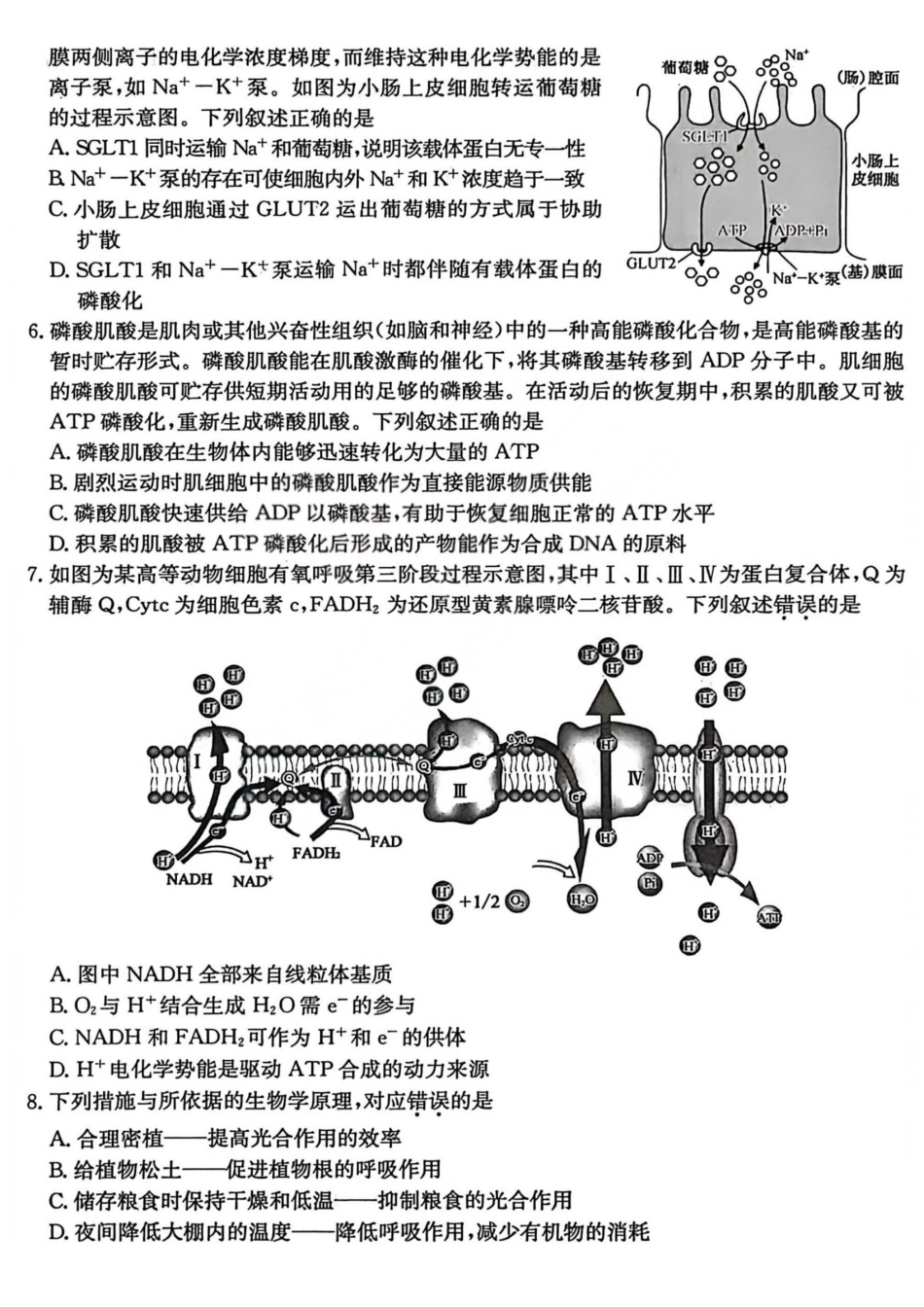 生物试卷+答案山西省卓越联盟2026届高三12月质量检测（26-X-205C）(12.9-12.10）.pdf_第2页