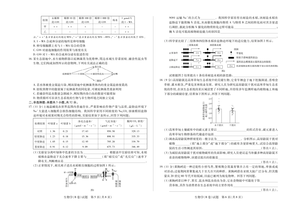 生物试卷B卷天一大联考河南省2025-2026学年（上）高三年级顶尖计划（二）(12.9-12.10).pdf_第3页