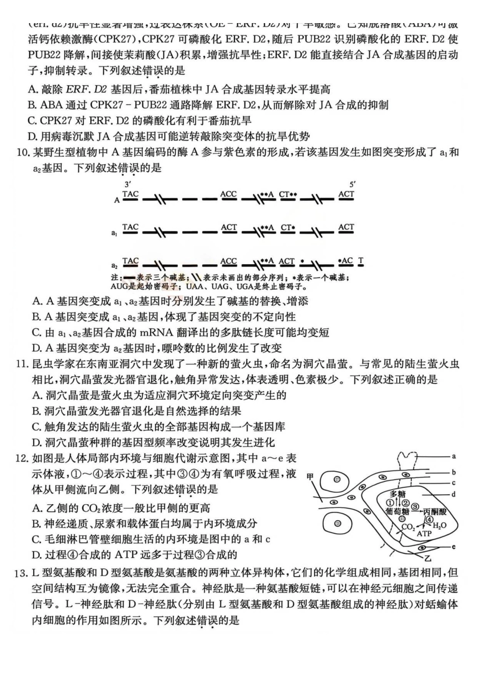 生物试题卷(A卷)(26-X-205C)山西省卓越联盟2026届高三12月质量检测（26-X-205C）(12.9-12.10）.pdf_第3页