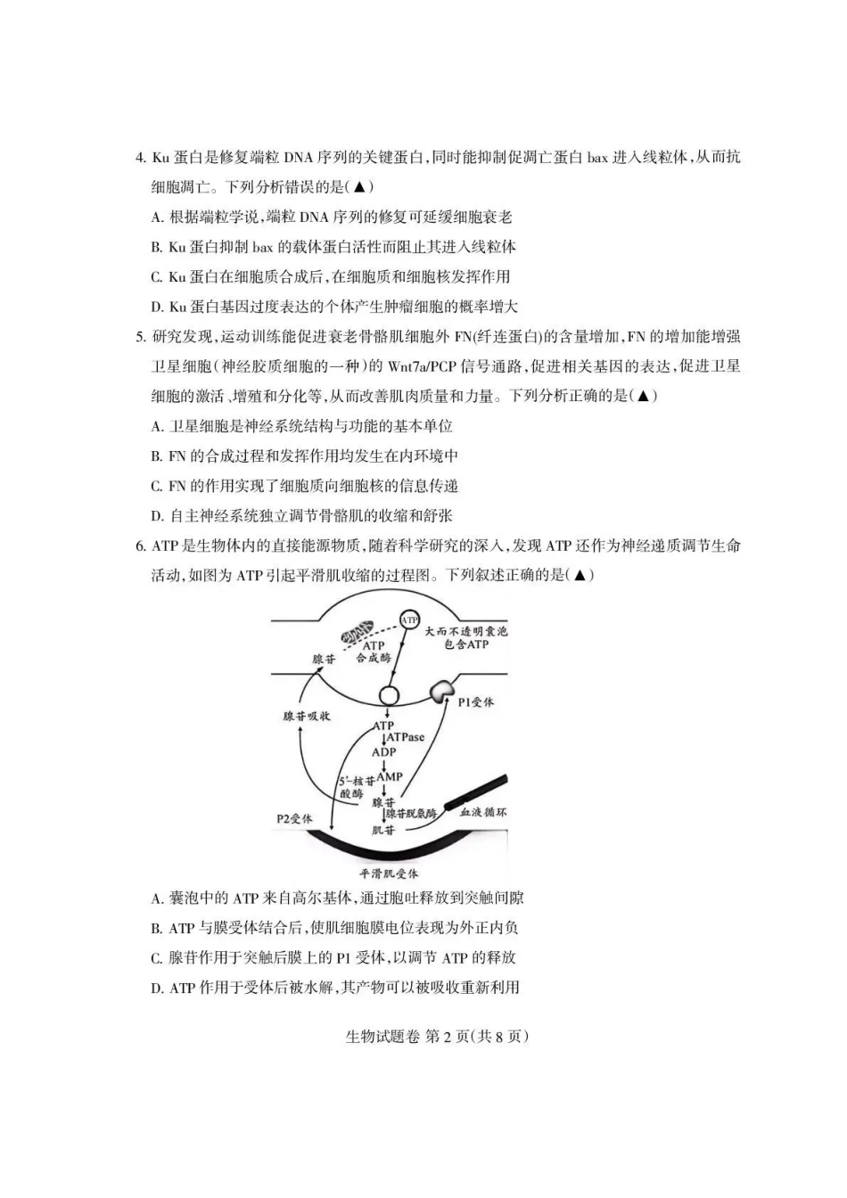 四川省凉山州2026届高中毕业班第一次诊断性考试生物.pdf_第2页