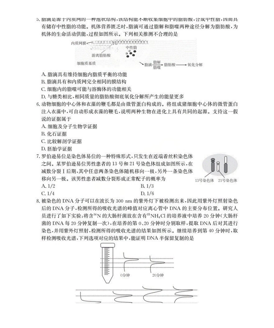 新疆多校2026届高三上学期11月联考（XJ）生物.pdf_第2页