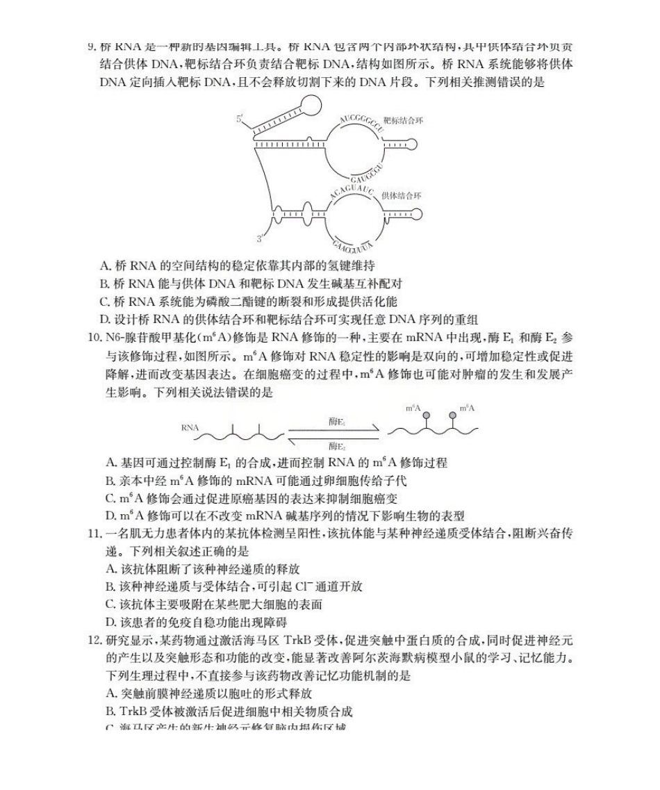 新疆多校2026届高三上学期11月联考（XJ）生物.pdf_第3页