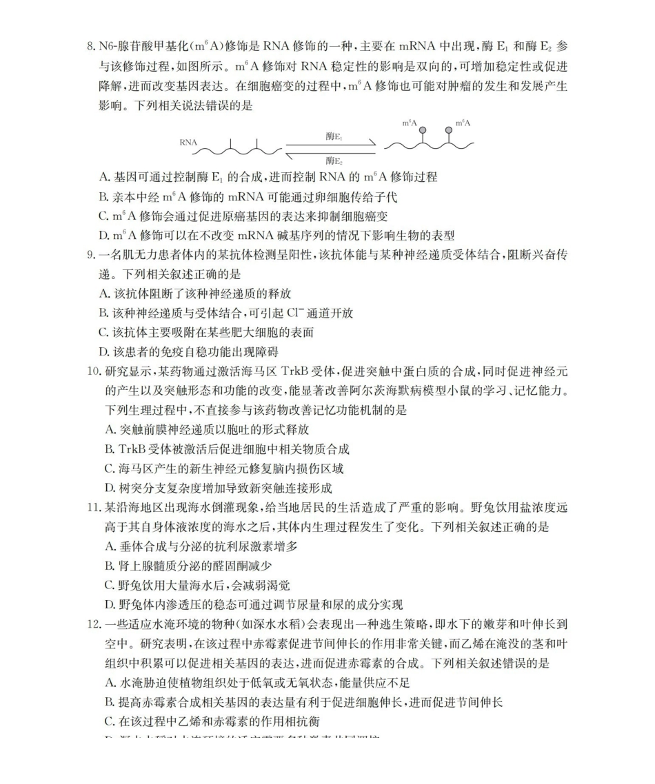 云南省2026届高三上学期11月联考（YN）生物.pdf_第3页