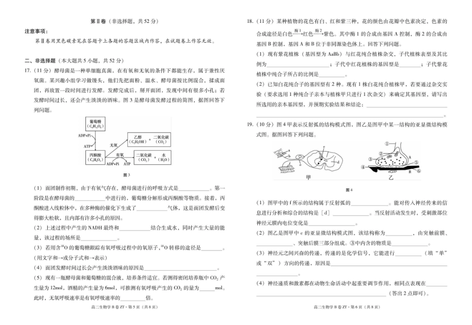 云南省昭通一中教研联盟2025-2026学年高二上学期期中考试生物（B卷）试题.pdf_第3页