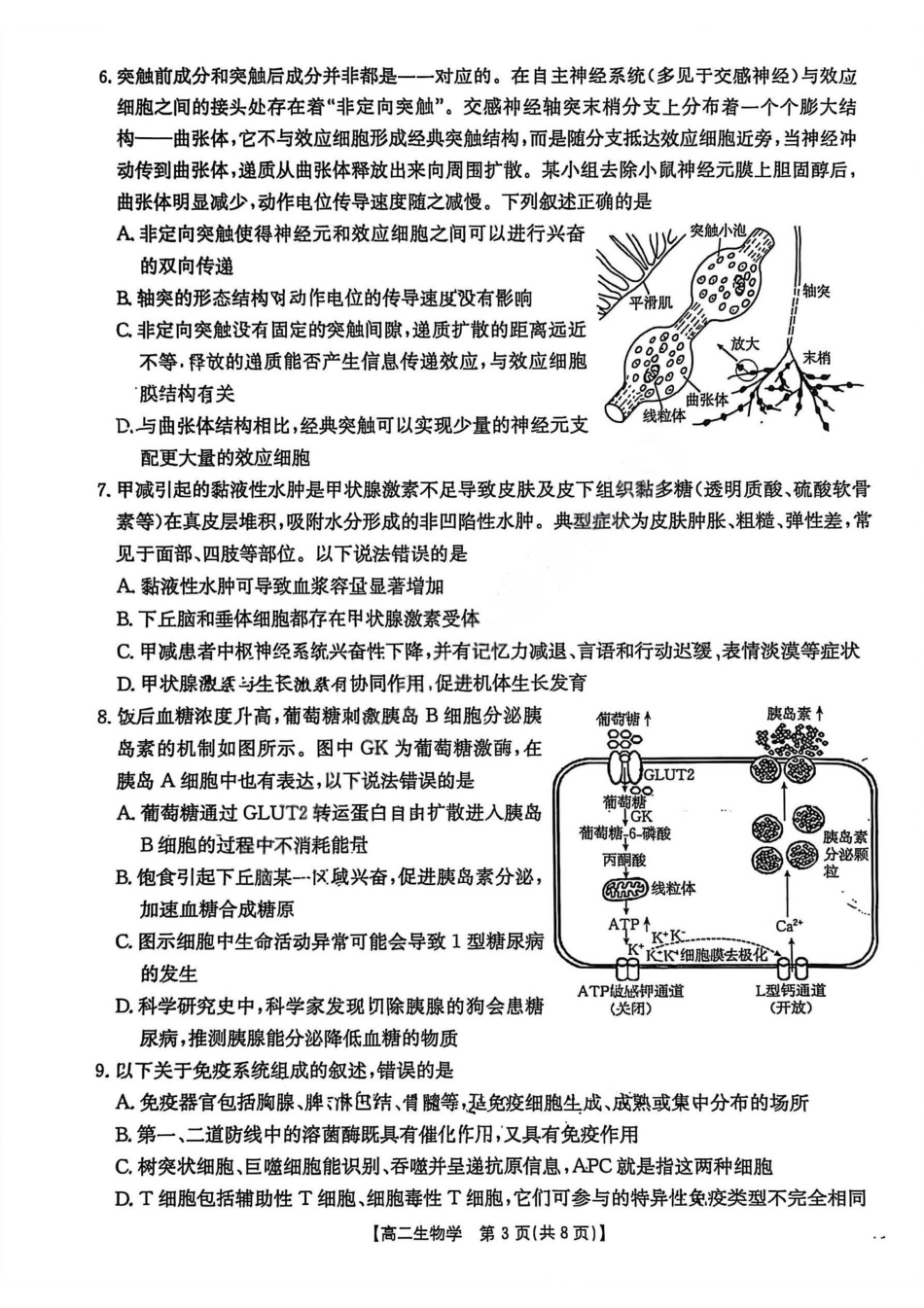 【生物试卷】2025年“三新”协同教研共同体高二联考.pdf_第3页