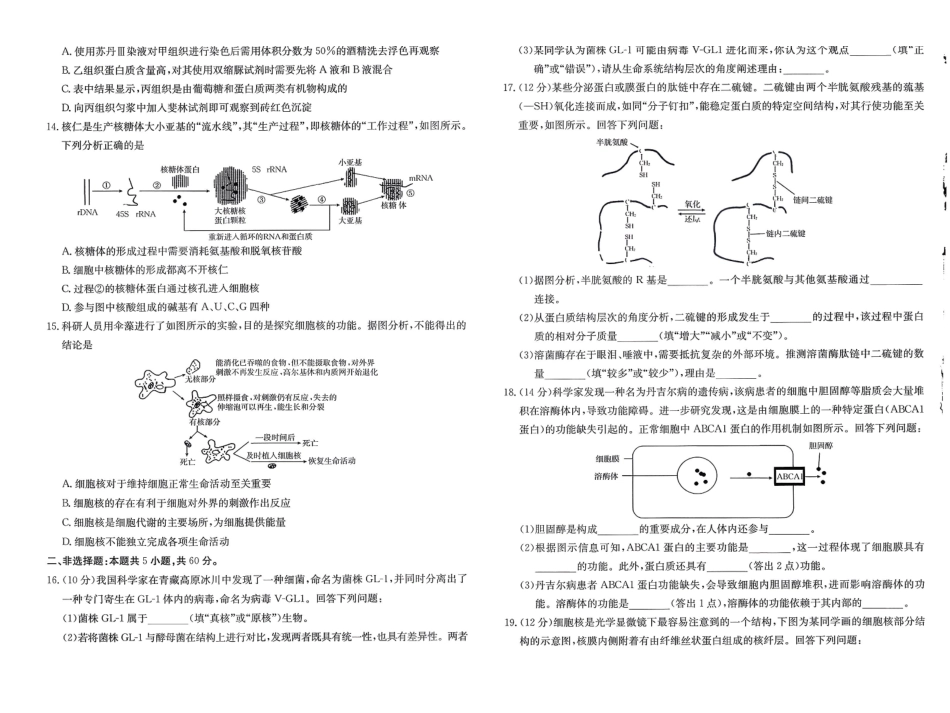 【生物试卷+答案】福建省南平市多校2025一2026学年高一年级第一学期质量检测(12.23-12.24).pdf_第3页