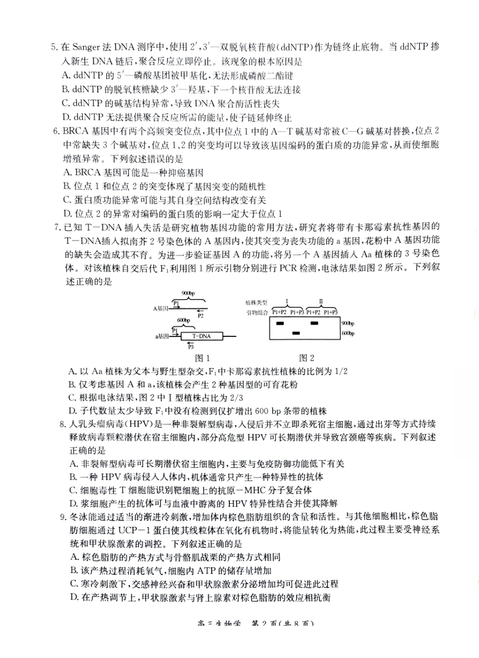 【生物试题卷】江苏省新高考基地学校2026届高三年级上学期第一次大联考(12.24-12.26).pdf_第2页