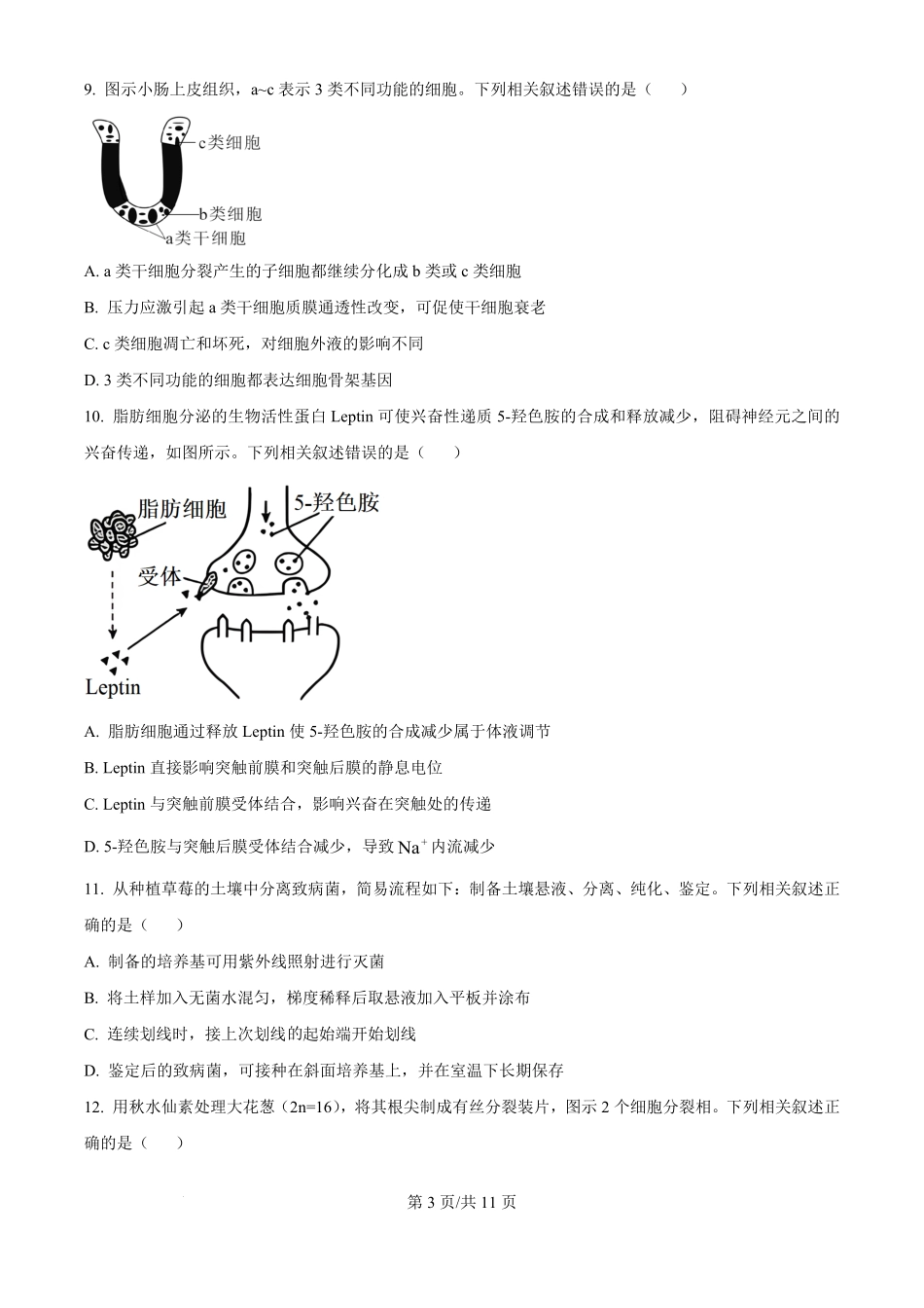 2025年高考生物试卷（江苏卷）（空白卷）.pdf_第3页