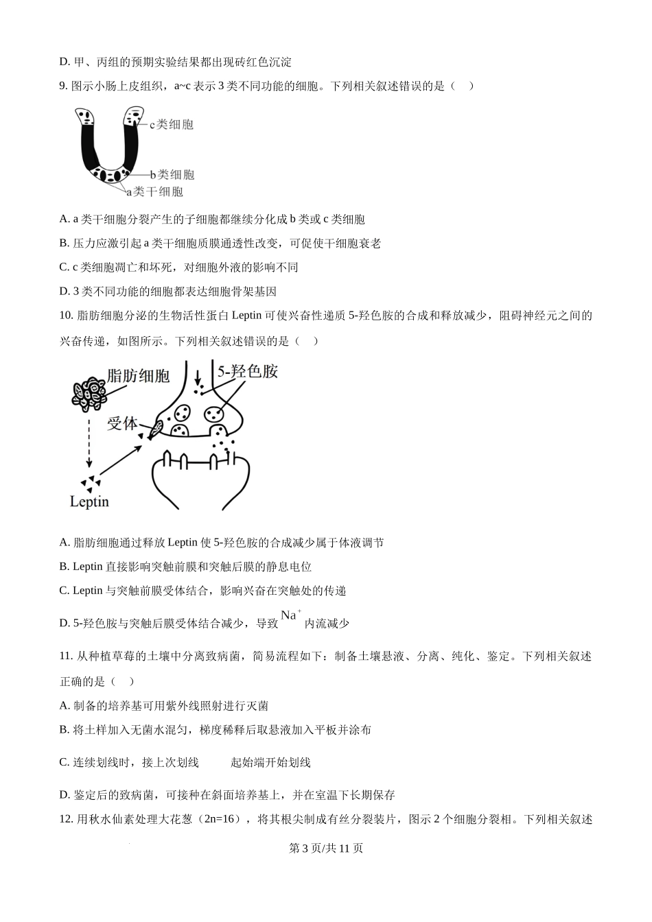 2025年高考生物试卷(江苏卷)(空白卷).docx_第3页