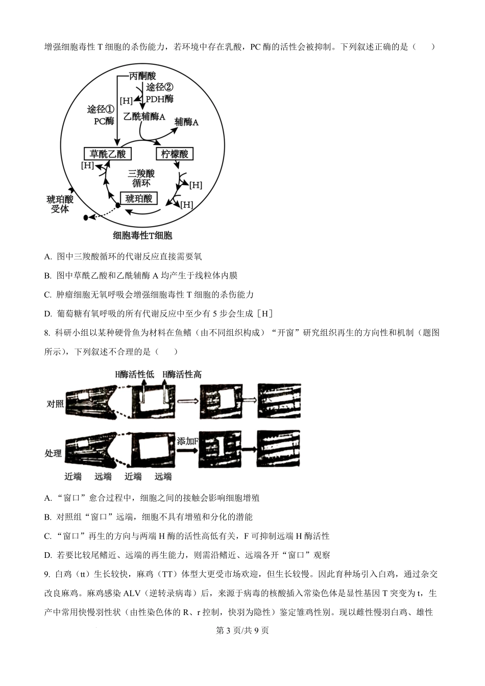 2024年高考生物试卷(重庆)(空白卷).pdf_第3页