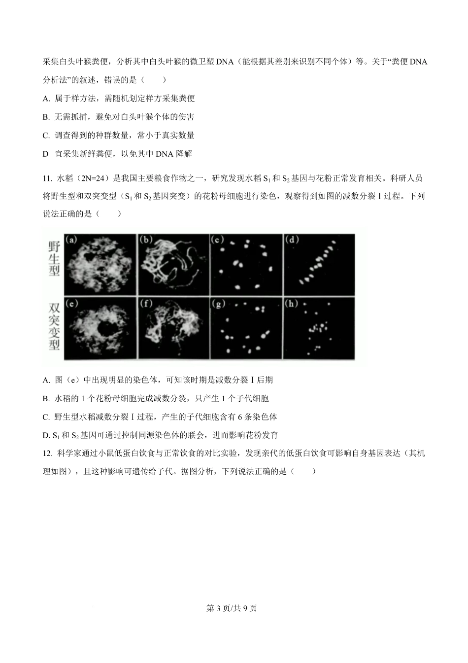 2024年高考生物试卷（广西）（空白卷）.pdf_第3页